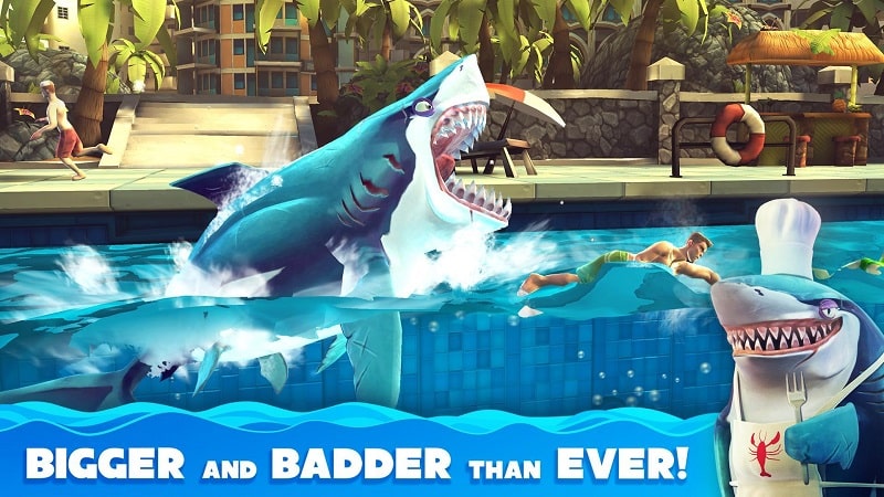 Tải Game Hungry Shark World Hack Mod Apk miễn phí 2021, hack game cá mập